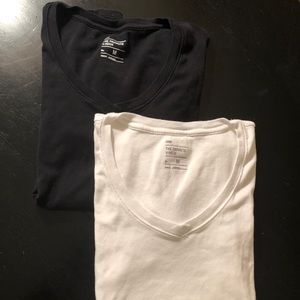 Two Gap “The Favorite V-Neck” t-shirts B&W